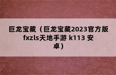 巨龙宝藏（巨龙宝藏2023官方版fxzls天地手游 k113 安卓）